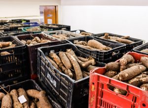 Em quatro meses, Prefeitura de João Pessoa distribui quase 300 toneladas de alimentos e mais de 200 mil refeições bancodealimentos foto edcarlos santana secomjp 300x218 - Em quatro meses, Prefeitura de João Pessoa distribui quase 300 toneladas de alimentos e mais de 200 mil refeições