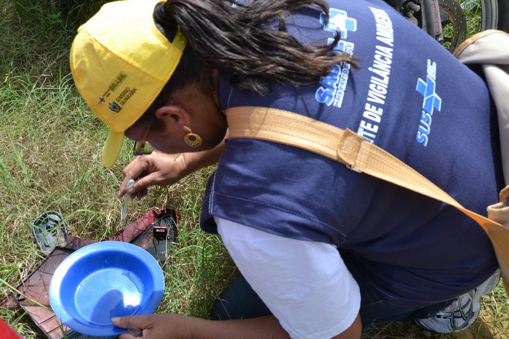 Sopesp - OGMOSA realiza ação de combate ao Aedes Aegypti no Porto