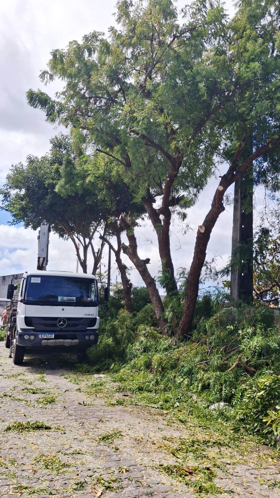 Sedurb inicia a semana realizando podas de árvores no Jardim São Paulo e Mangabeira