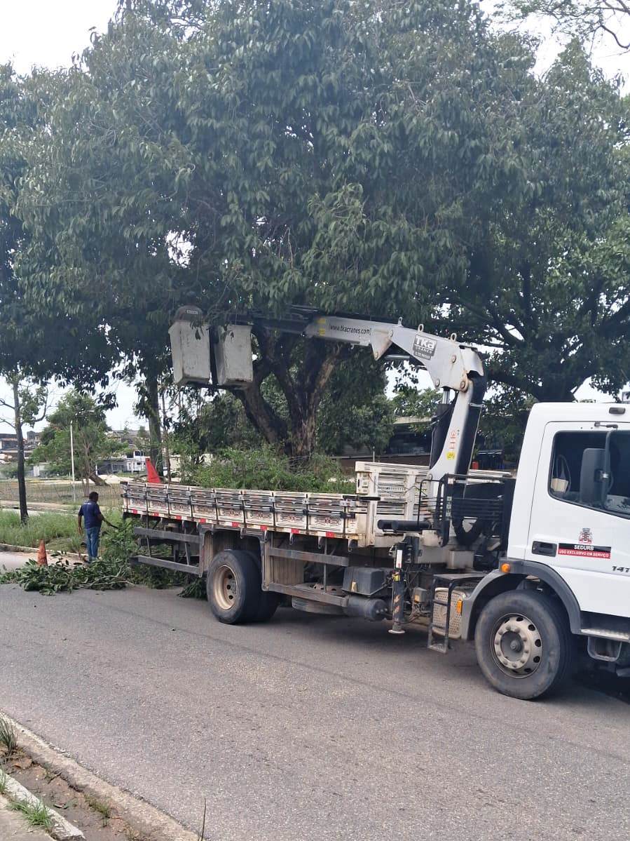 Sedurb realiza serviços de podas de árvores em quatro bairros de João Pessoa