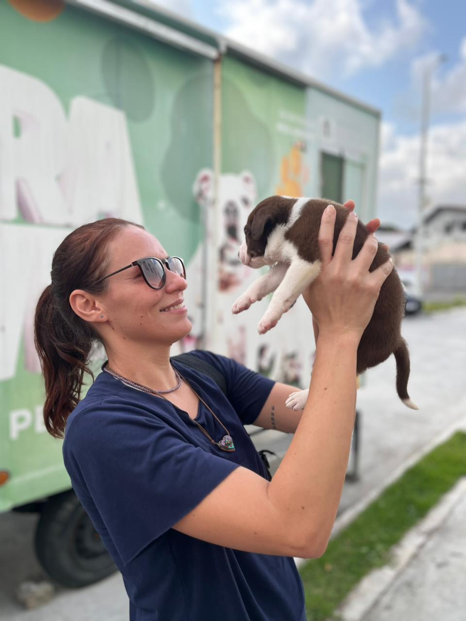 Secretaria de Cuidado e Proteção Animal promove evento de adoção responsável nesta quinta-feira