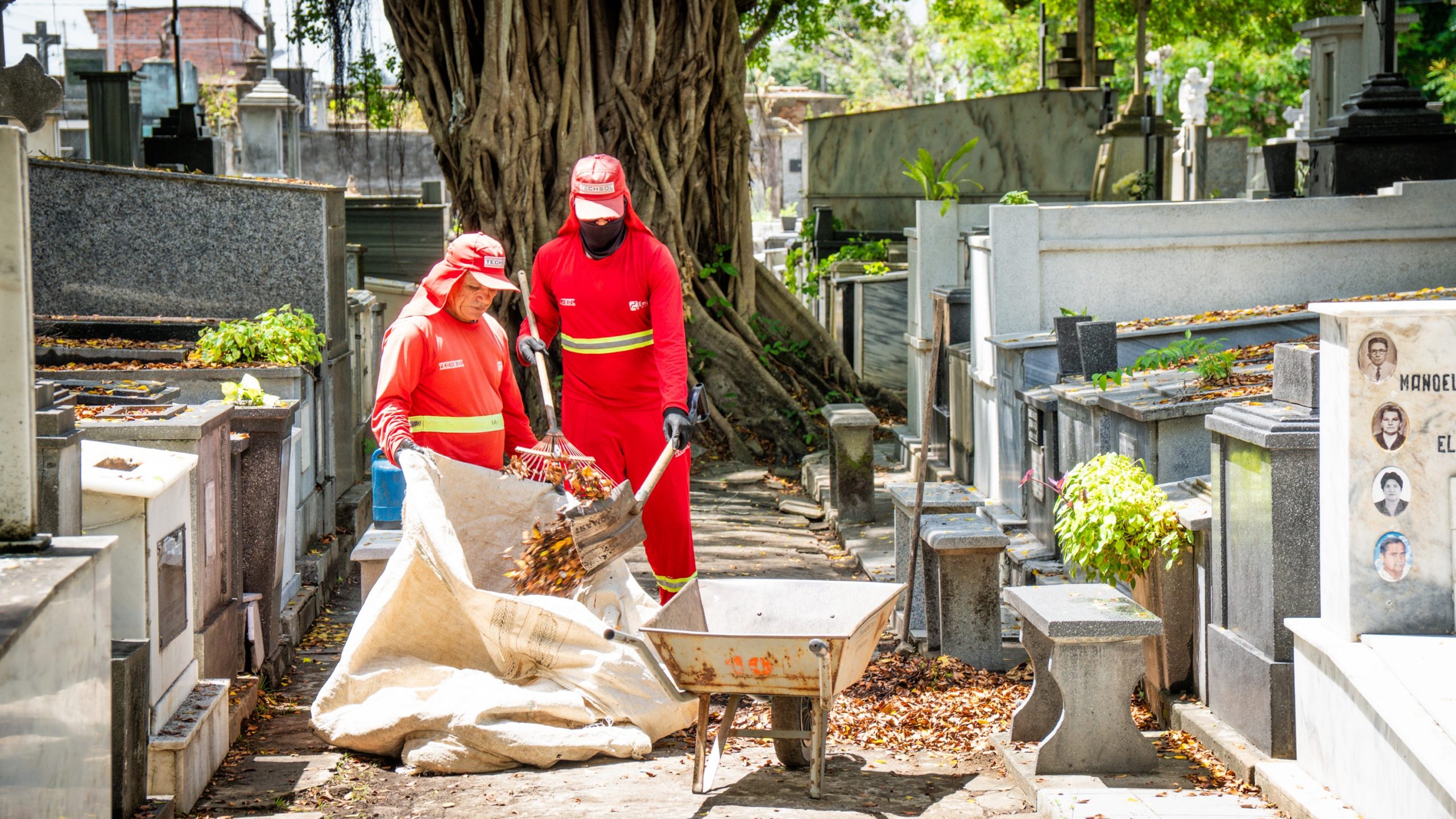 Cemitérios do Cristo e Boa Sentença recebem serviços de limpeza e manutenção da Emlur