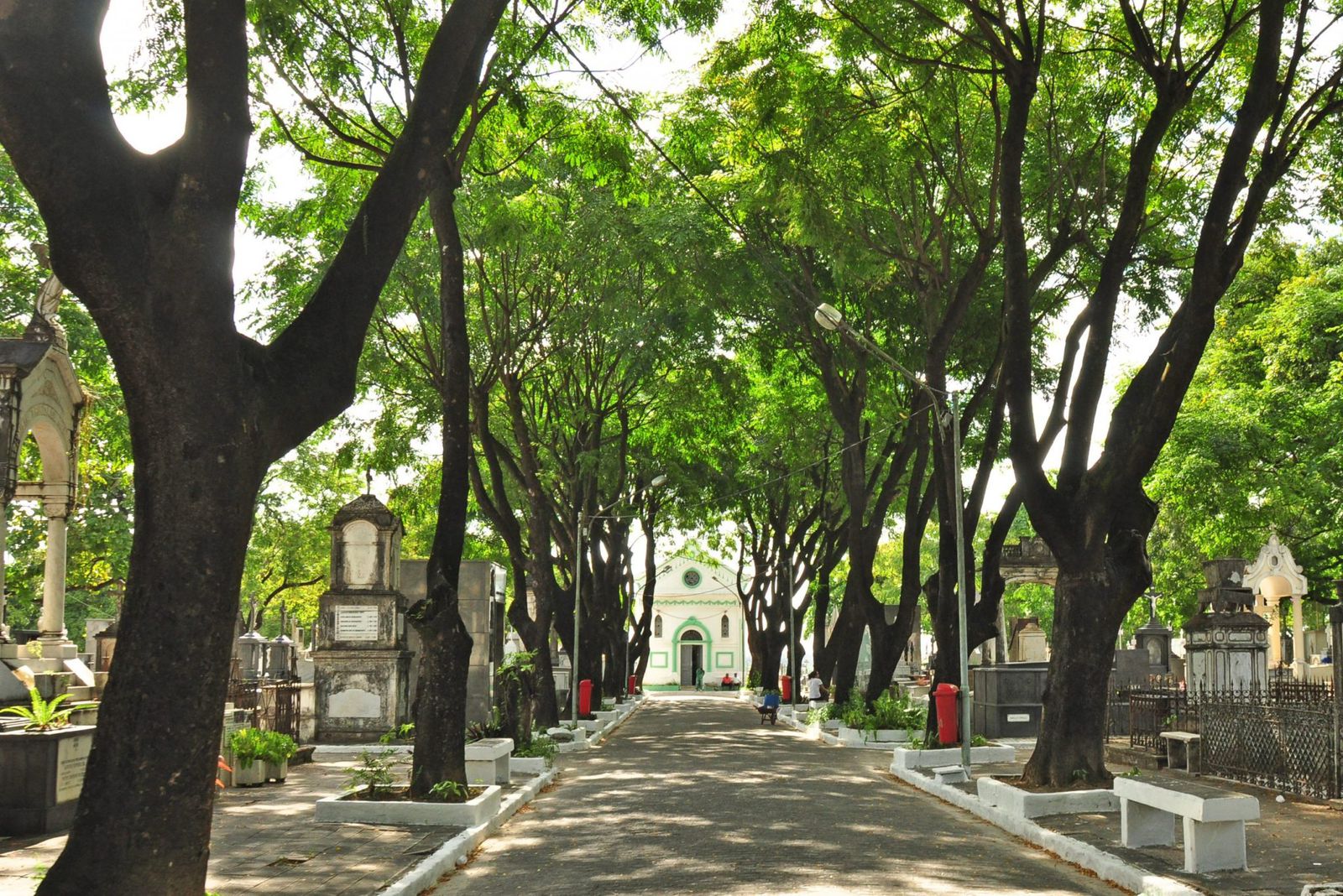 Sedurb aperfeiçoa o Cemitech João Pessoa, sistema digital de gestão dos cemitérios públicos