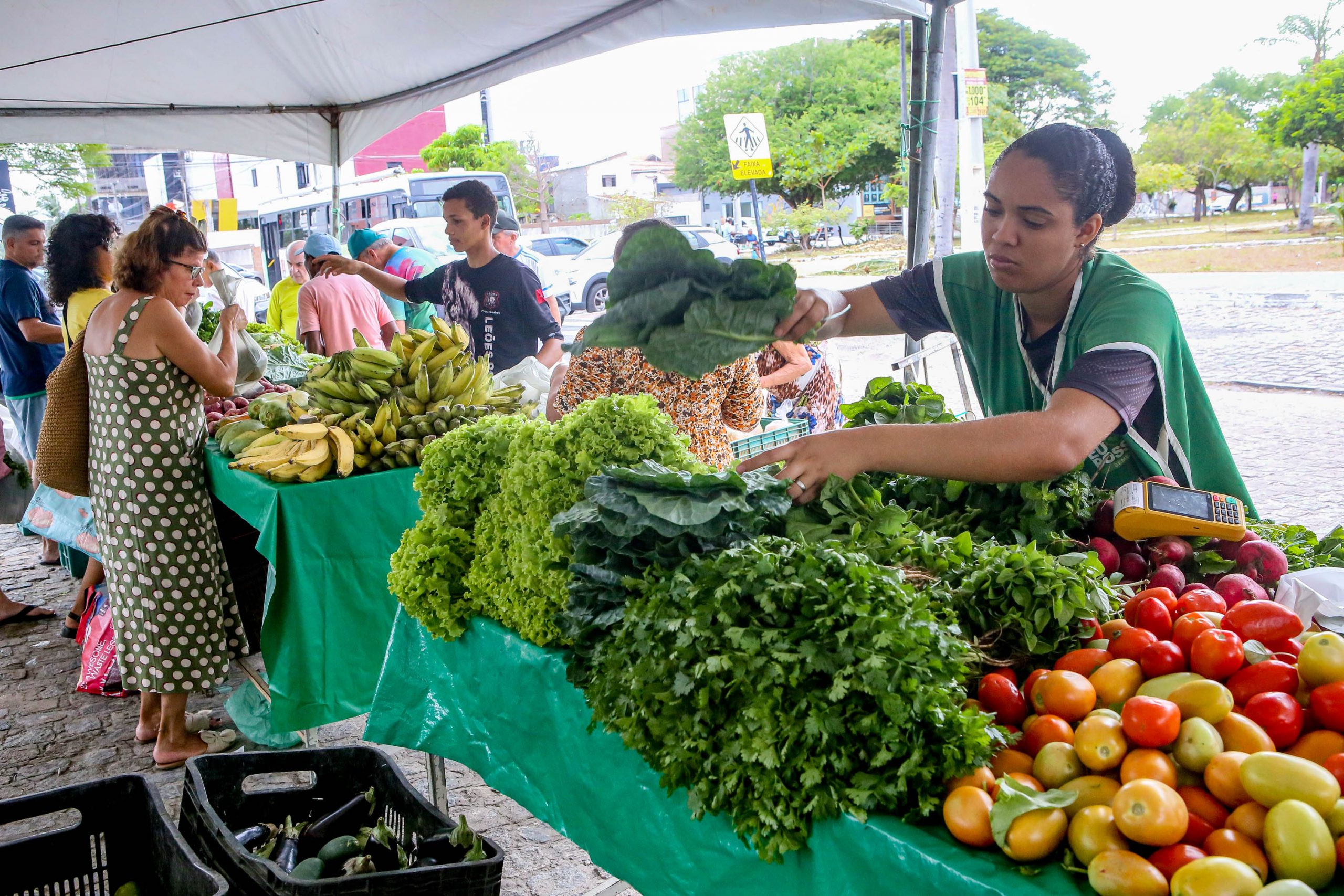 Prefeitura de João Pessoa impulsiona produção agroecológica com apoio do plantio à comercialização
