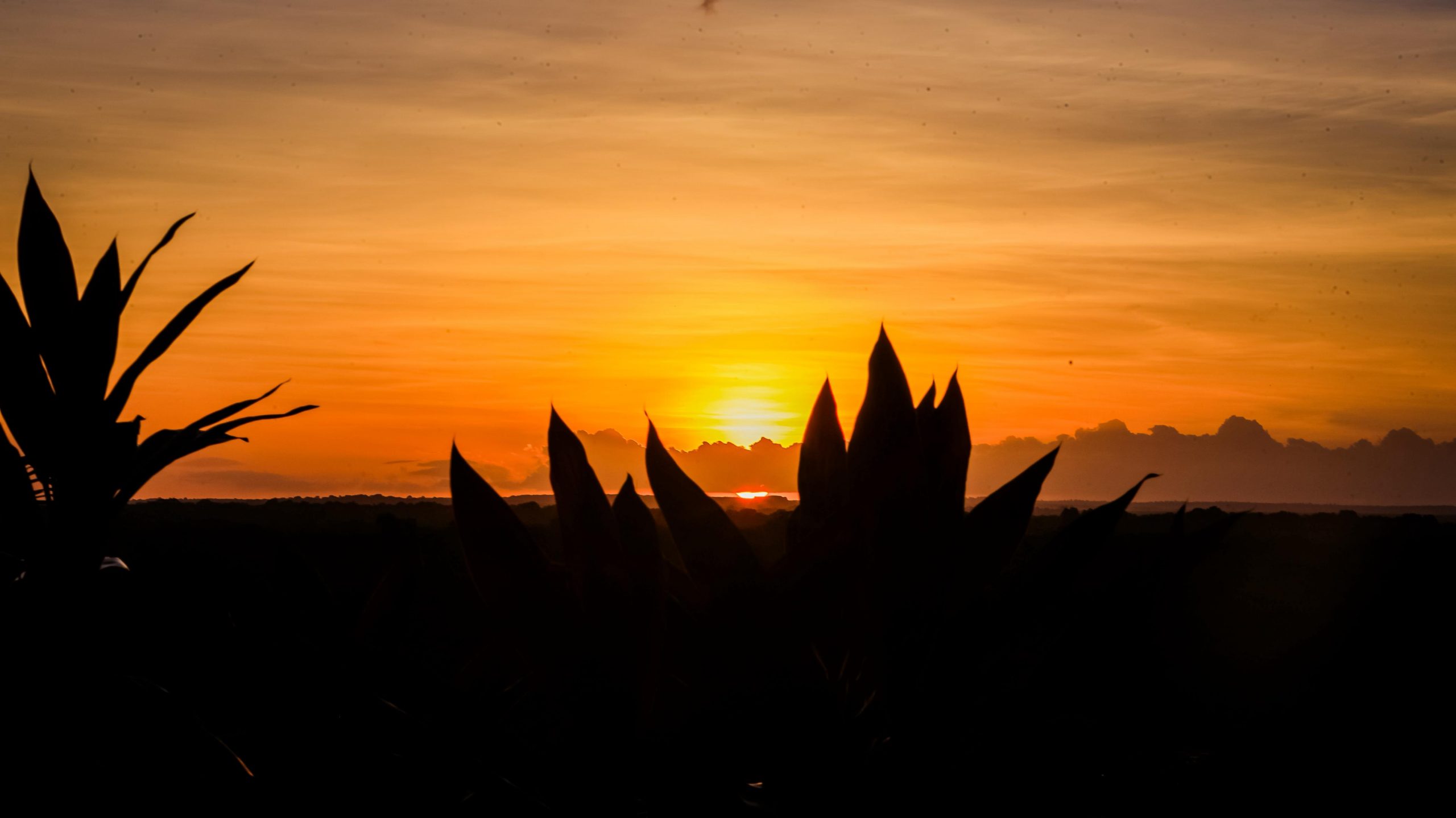 Laís Oliveira e Pedrinho se apresentam no palco do Sol Maior, nesta sexta-feira Laís Oliveira e Pedrinho se apresentam no palco do Sol Maior, nesta sexta-feira