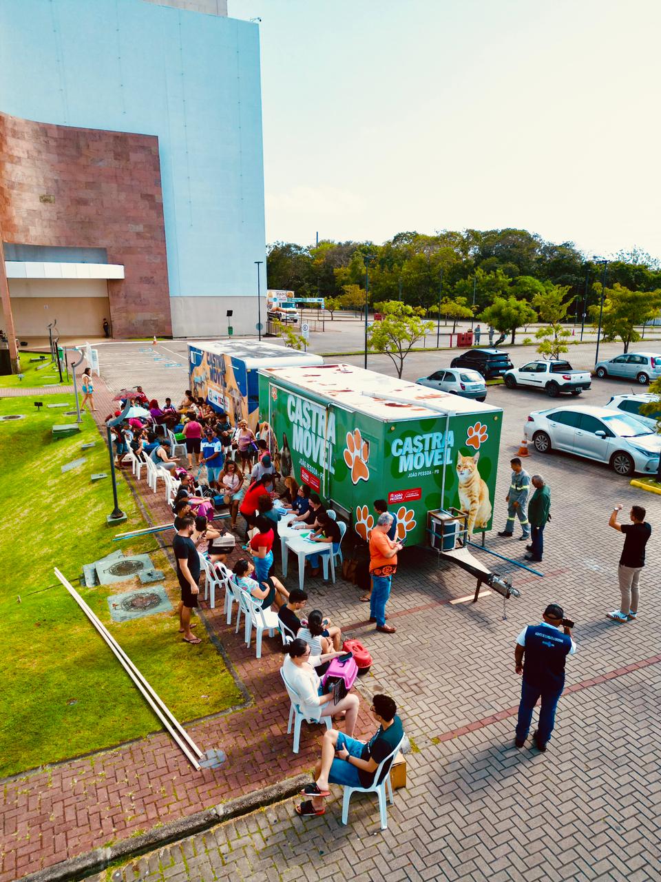 Prefeitura oferta mais 200 vagas para castração de gatos no bairro de Mangabeira