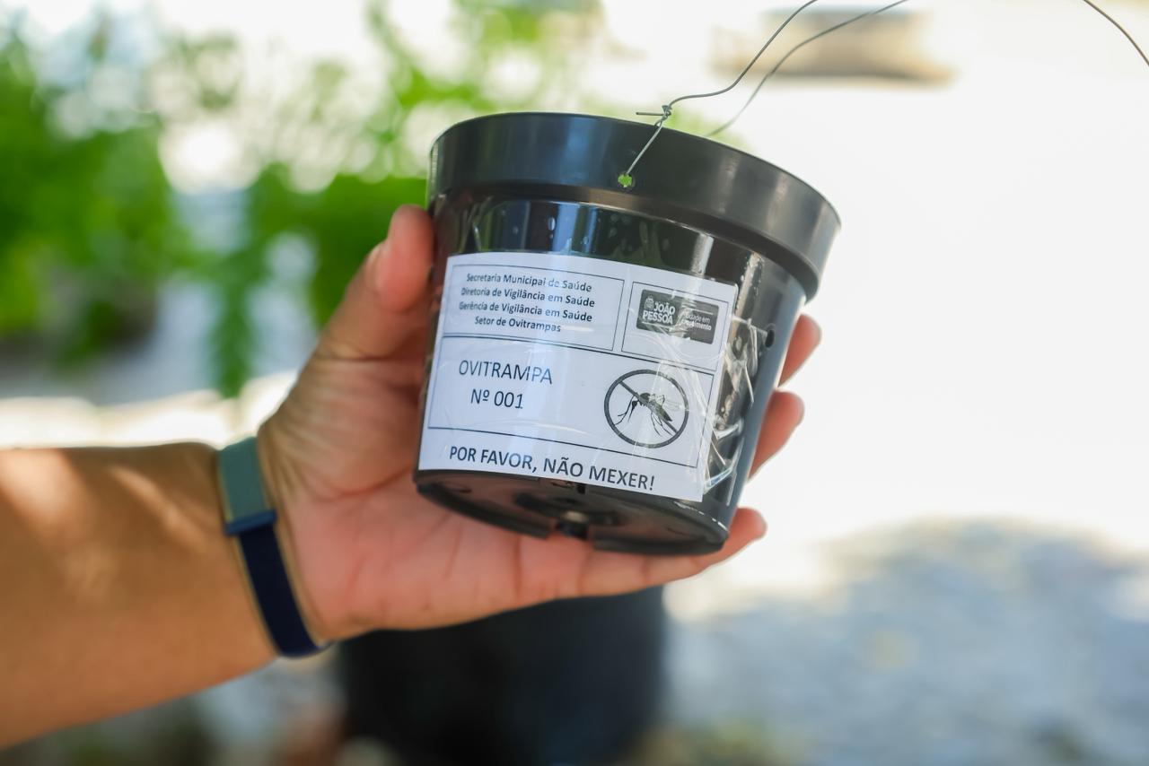 Secretaria de Saúde instala armadilhas para monitorar presença do Aedes aegypti nos bairros da Capital