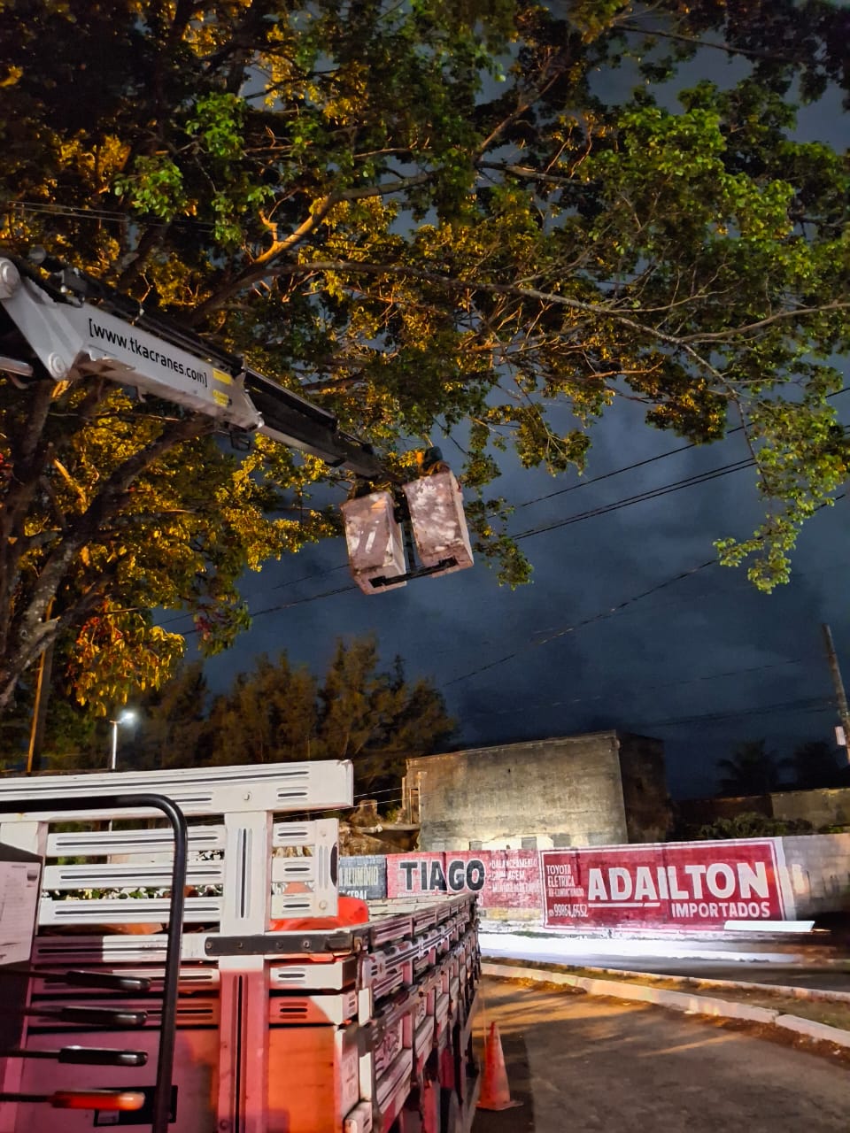 Sedurb realiza podas de árvores nos percursos da Caravana da Coca-Cola e da Romaria da Penha Sedurb realiza podas de árvores nos percursos da Caravana da Coca-Cola e da Romaria da Penha