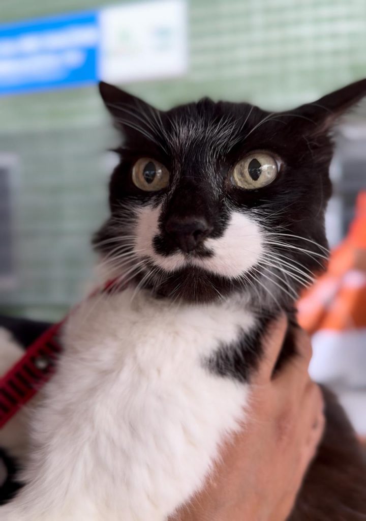 WhatsApp Image 2025 11 26 at 16.57.01 2