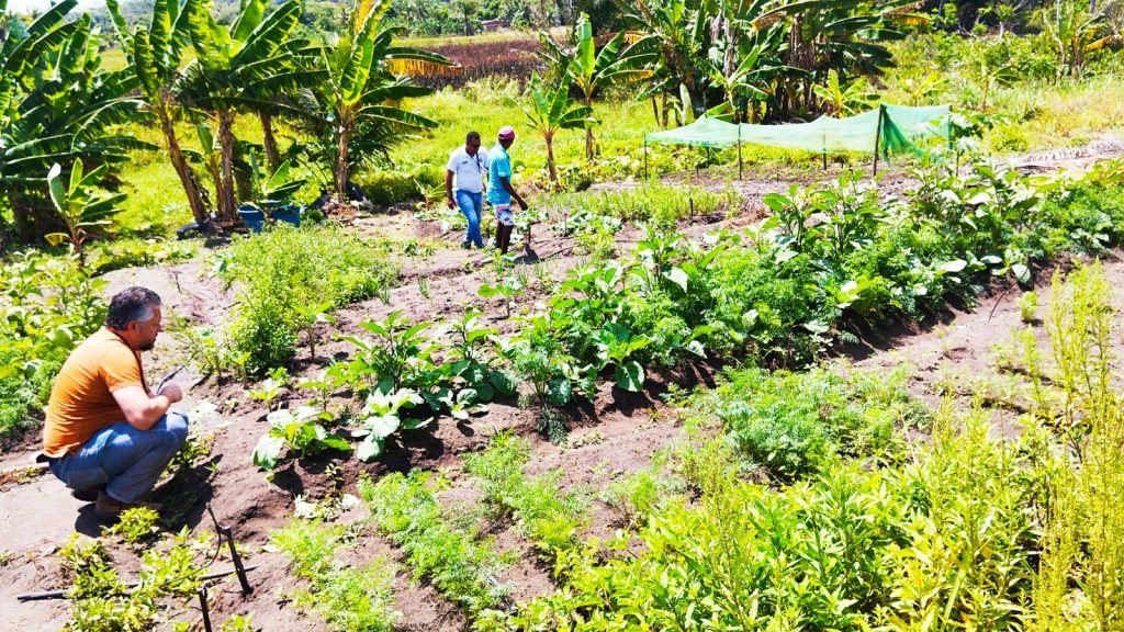 Programa ‘Eu Posso Semear’ fortalece agricultura familiar e sustentabilidade em João Pessoa