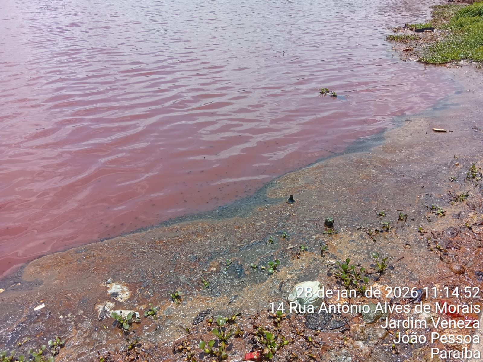 Semam notifica Cagepa e Sudema por poluição na área do Parque das Três Lagoas