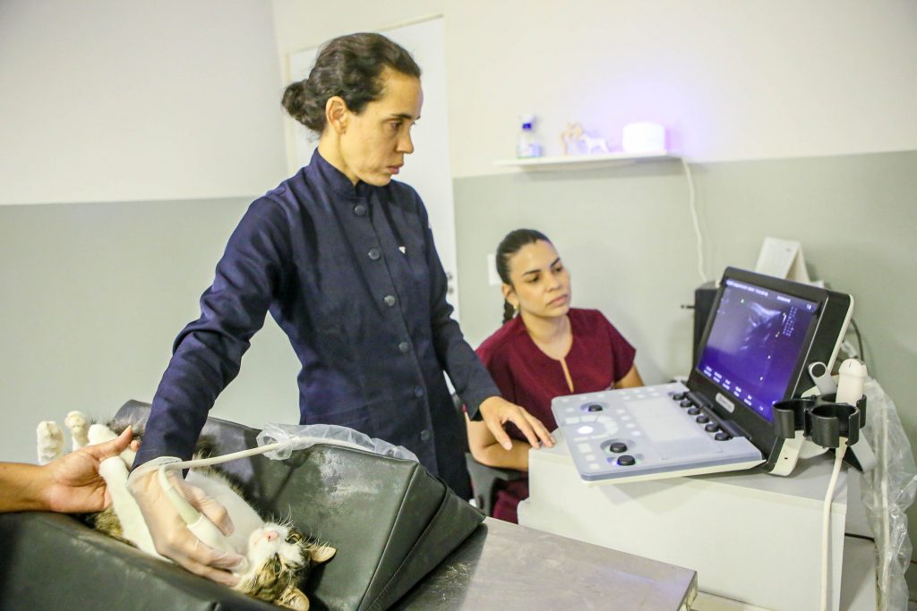 Clínica do Pet fortalece atendimento, amplia serviços e consolida rede pública de cuidado animal em João Pessoa 2 SECUPA Clinica PET Fotos Kleide Teixeira 20