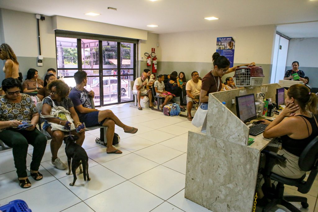 Clínica do Pet fortalece atendimento, amplia serviços e consolida rede pública de cuidado animal em João Pessoa 1 SECUPA Clinica PET Fotos Kleide Teixeira 24 1