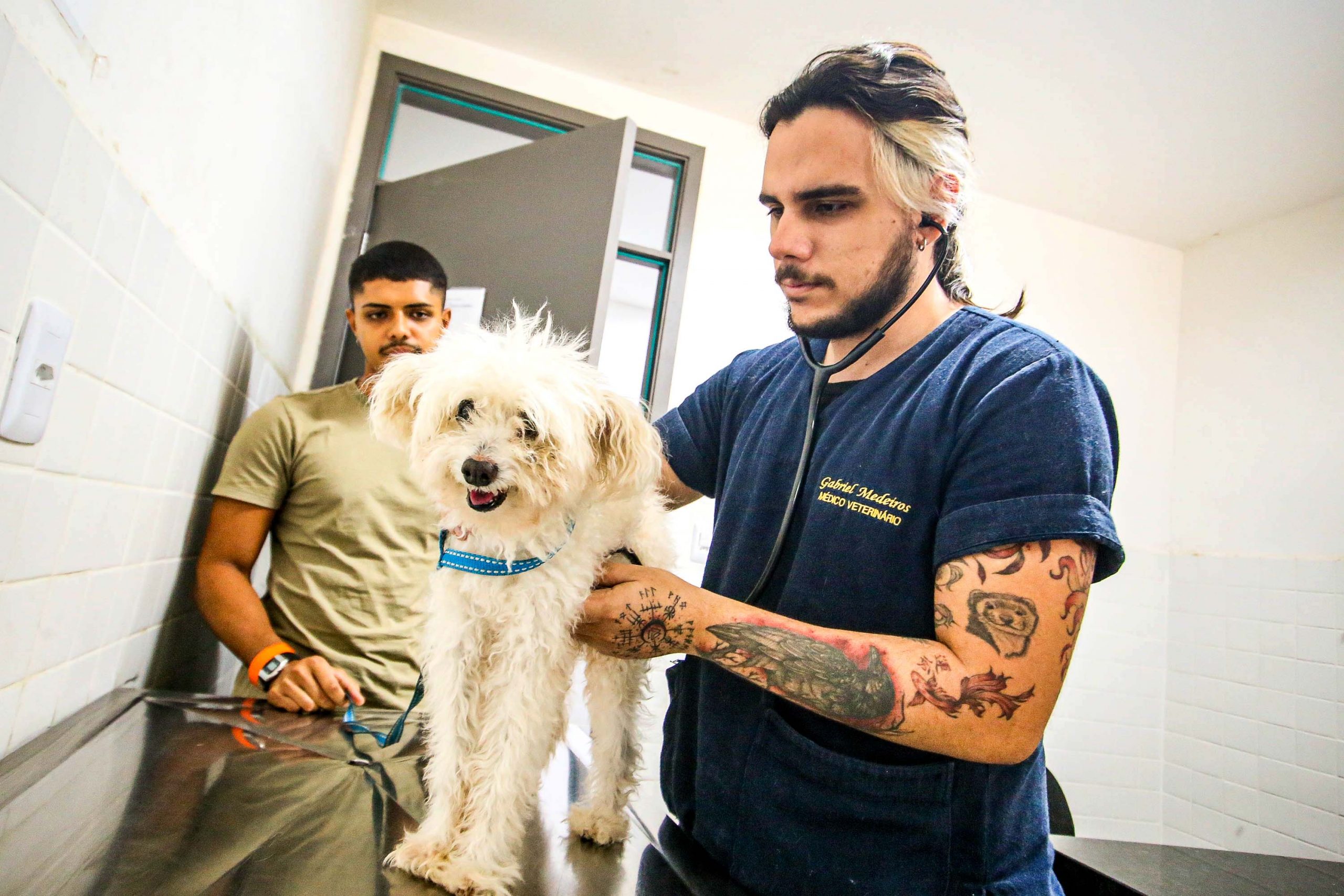 No Dia Nacional dos Animais, Prefeitura de João Pessoa reforça importância da rede de proteção