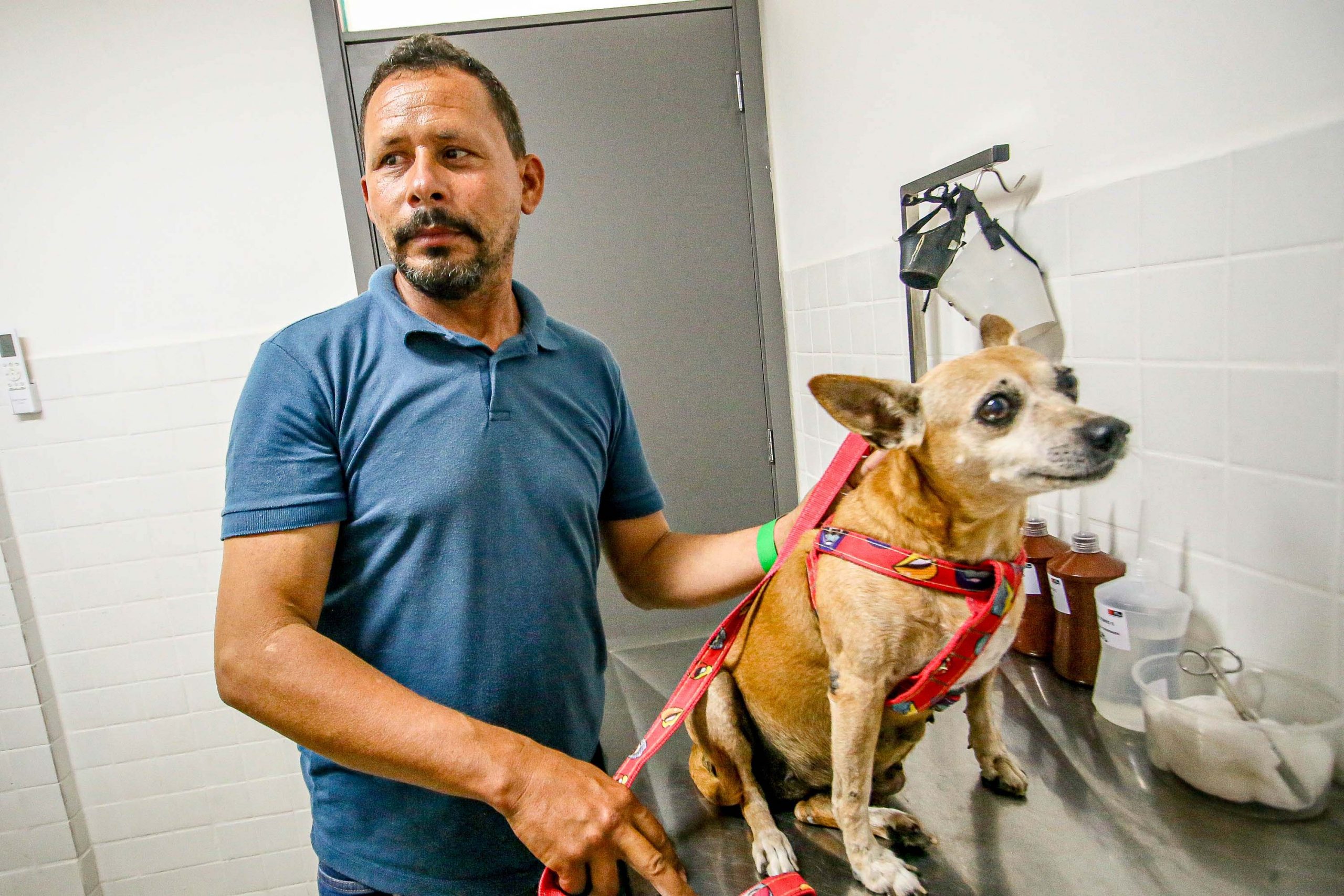 Hospital do Pet mantém atendimento de excelência e amplia suporte especializado para cães e gatos em João Pessoa