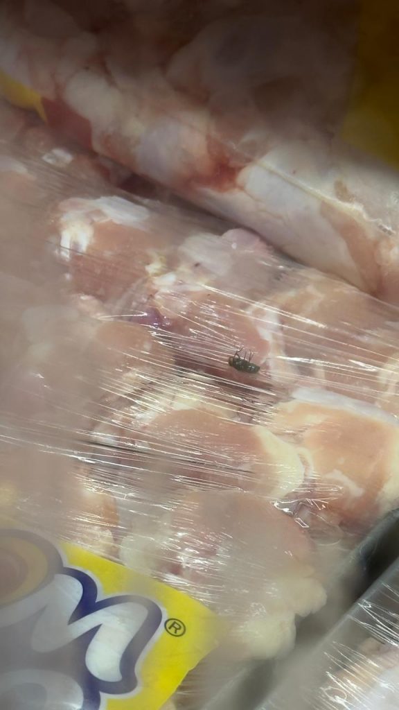 WhatsApp Image 2026 03 30 at 14.58.11