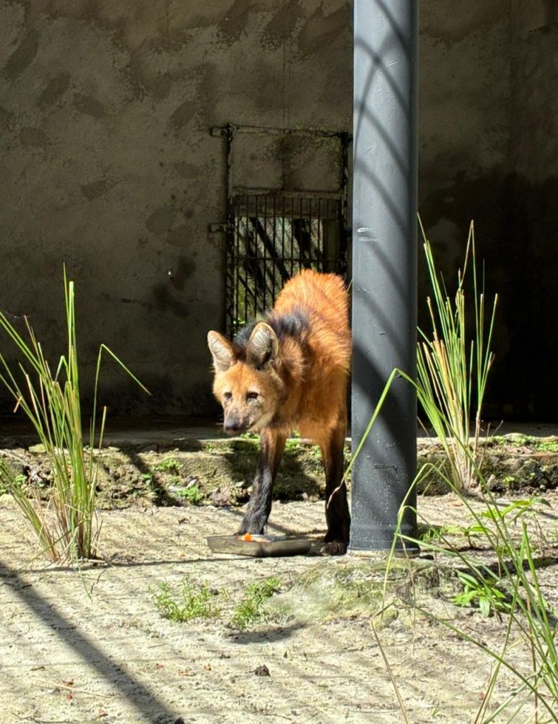Foto: Reprodução/Prefeitura de João Pessoa - PB