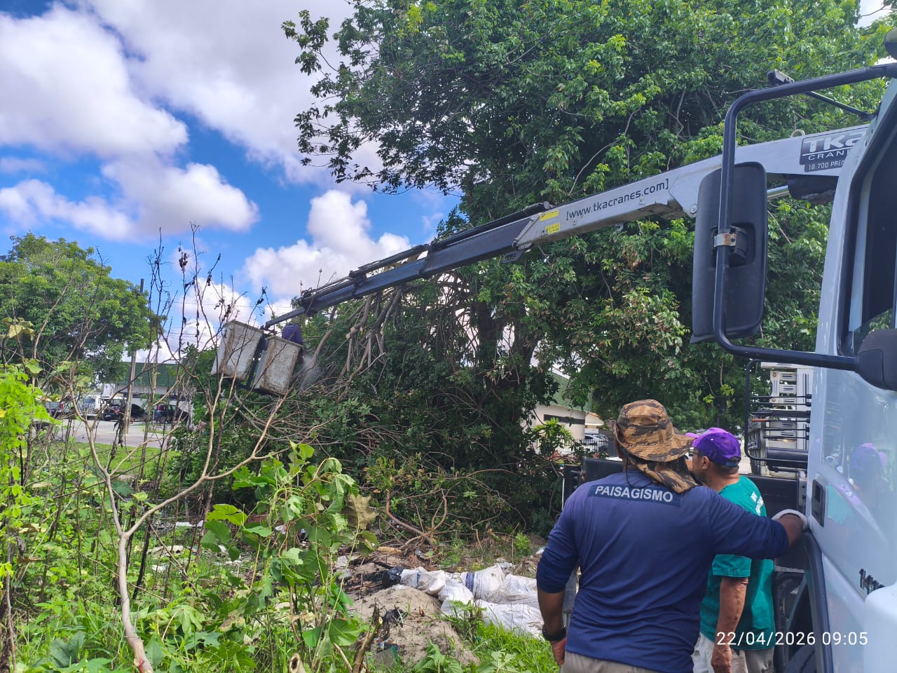 Prefeitura realiza podas de árvores em cinco bairros da Capital a partir desta quarta-feira