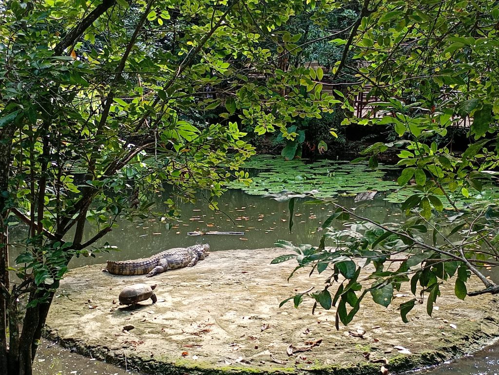 Semam Bica feriadao03