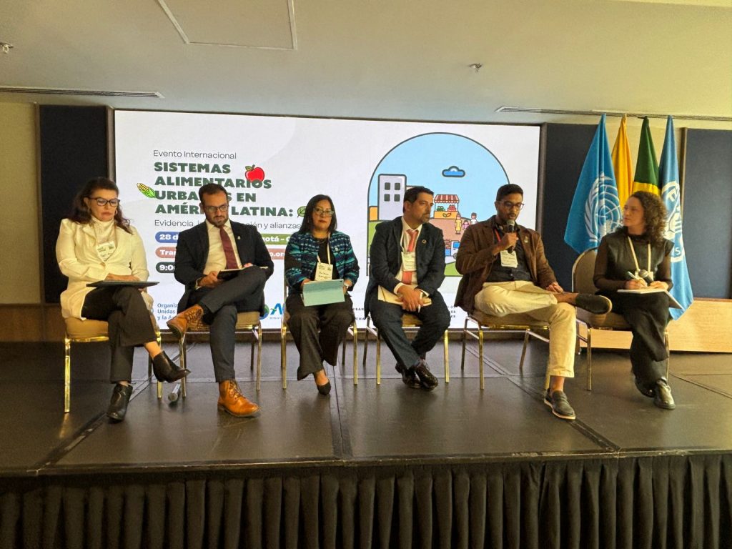 WhatsApp Image 2026 04 29 at 08.21.21