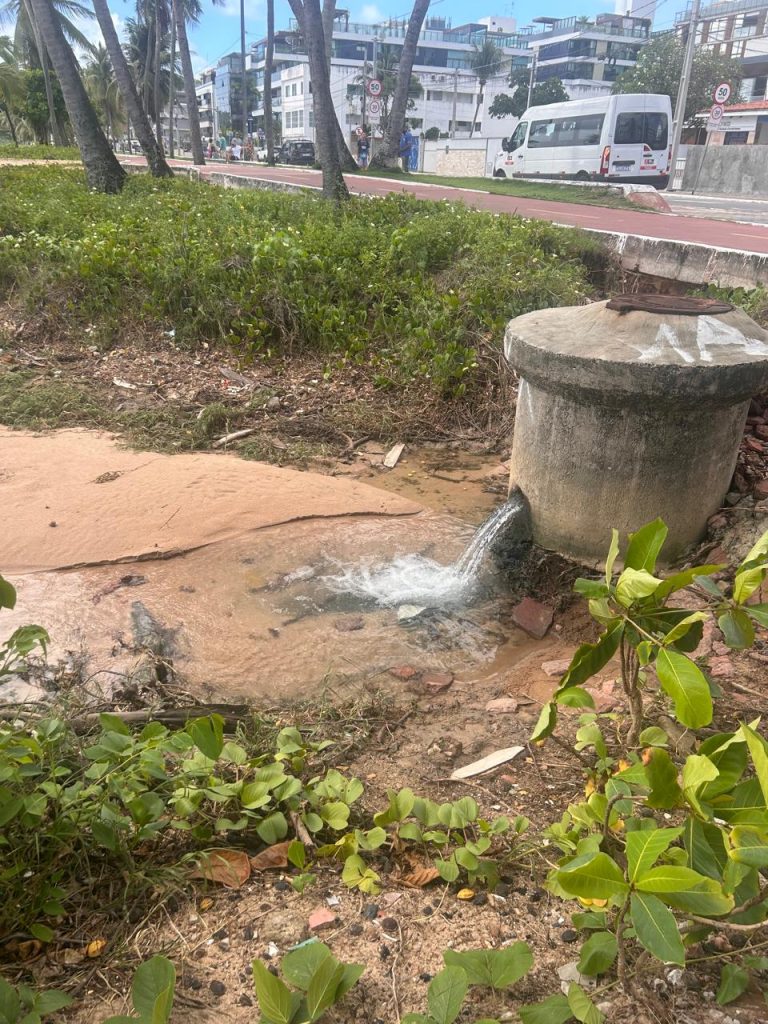 fiscalizacao semam 2