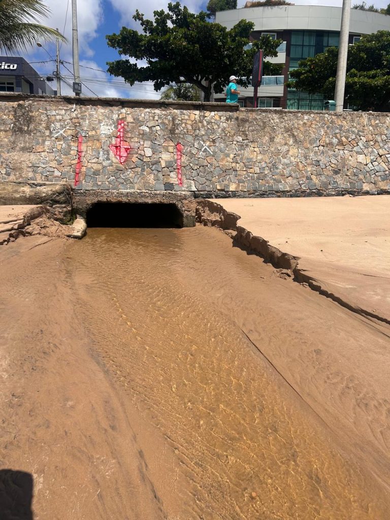 fiscalizacao semam 3