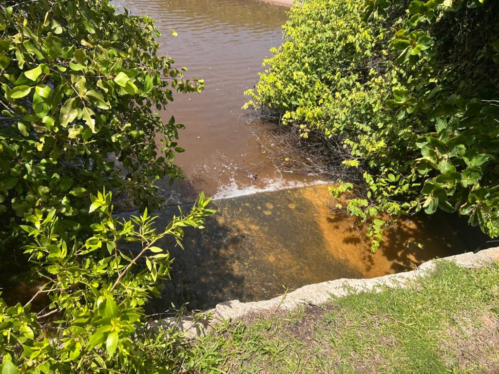 fiscalizacao semam 7