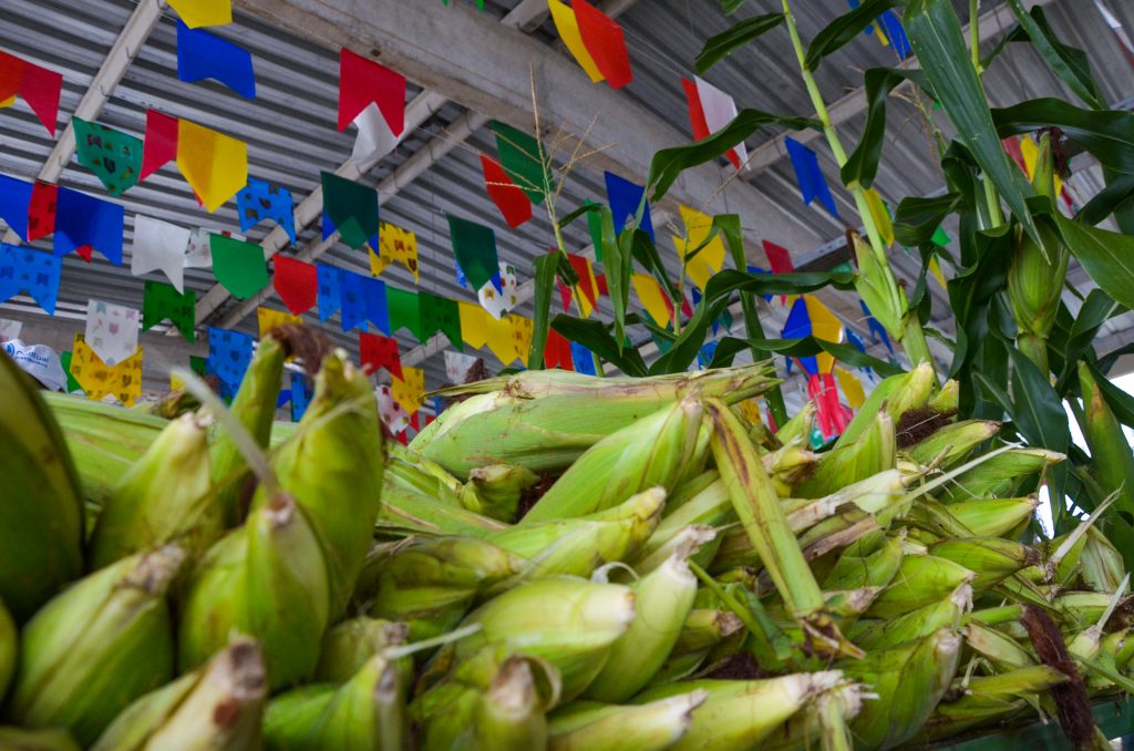 Festival do Milho da Cecaf chega a 10ª edição, unindo preço acessível, gastronomia e arrasta-pé
