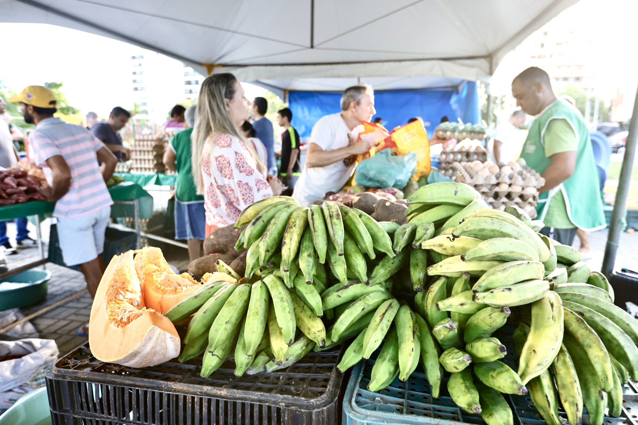 Feira da Agricultura Familiar conquista empreendedores e clientes com produtos de altura e qualidade