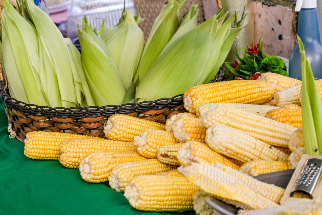 Festival do Milho da Cecaf começa neste sábado com produtos de qualidade, preços acessíveis e arrasta-pé Festival do Milho da Cecaf começa neste sábado com produtos de qualidade, preços acessíveis e arrasta-pé